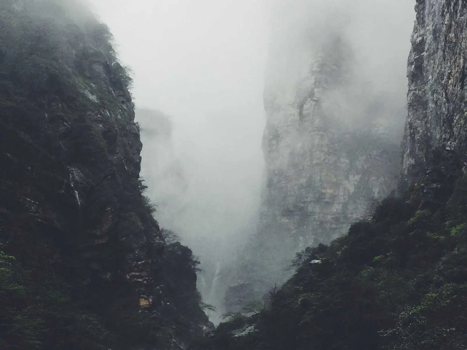 简报封面