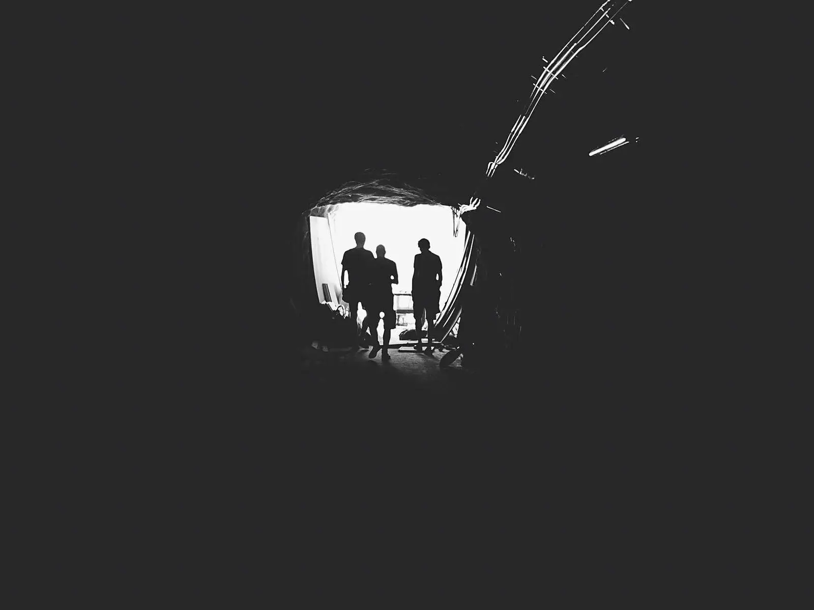 简报封面