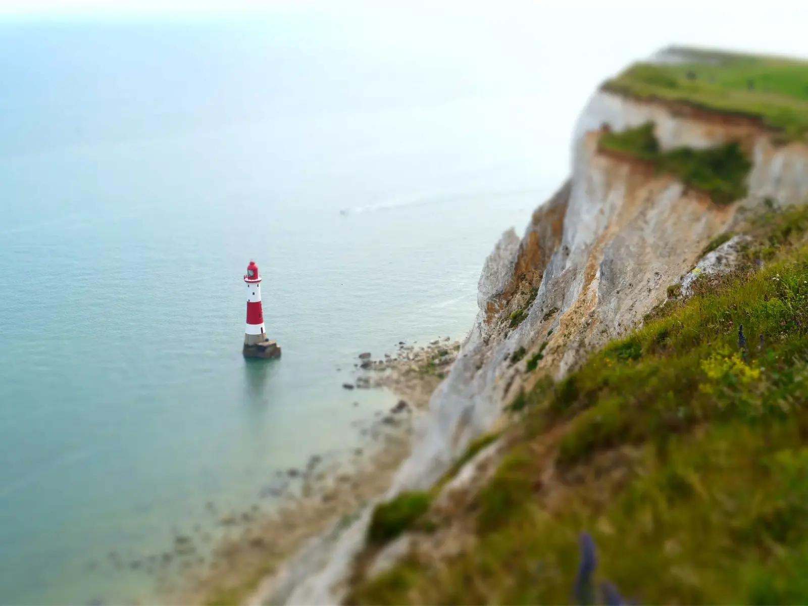 简报封面