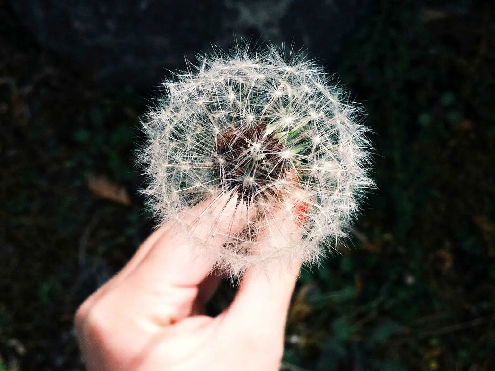 简报封面