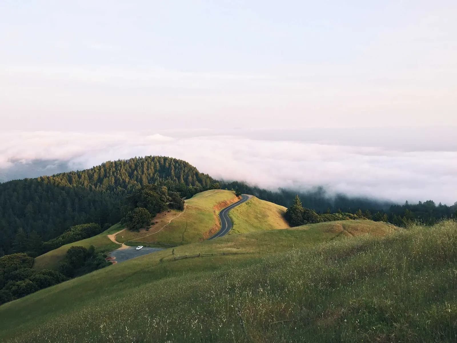 Briefing Cover