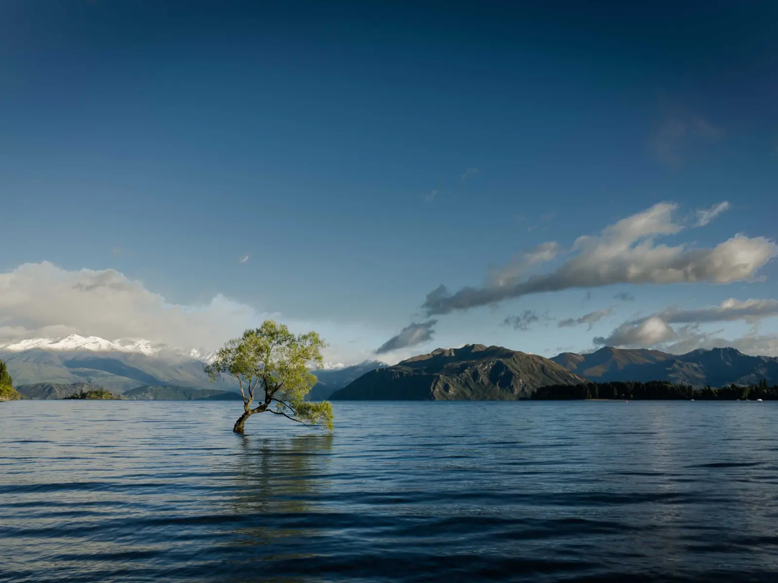 Briefing Cover